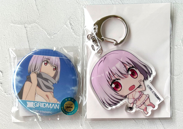 SSSS.GRIDMAN グリッドマン 新条アカネ オンラインくじ 水着 缶バッジ＆アクリルキーホルダー