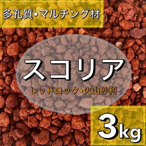 スコリア　火山砂利　3kg アクアリウム　多肉植物　サボテン　溶岩　水槽レイアウト　コケリウム 飾り石 石材 ストーン龍王 ADA 天然 