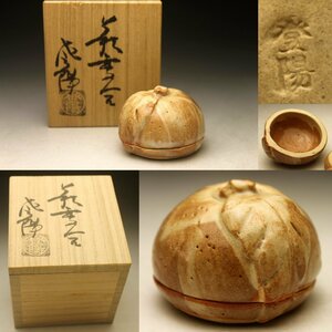 【余韻】　茶道具 玉村登陽 萩 蜜柑 香合 共箱 茶道具 無傷美品＜同梱可＞