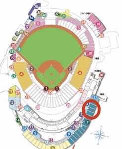 【第3戦】クライマックスシリーズ　広島VS横浜　内野2階指定席ペア　10/16 広島東洋カープ マツダスタジアム　10月16日　CS