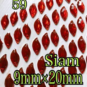 59 Siam ビジュー 再入荷しました。