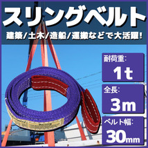 スリングベルト 3m 幅30mm 使用荷重1t ベルトスリング 繊維ベルト 吊りベルト クレーンベルト 帯ベルト_画像1