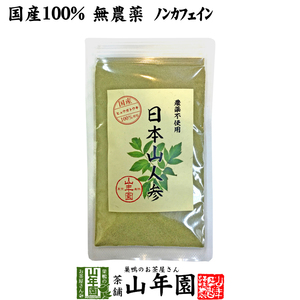 健康食品 国産無農薬100% 日本山人参 粉末 ヒュウガトウキ 50g パウダー 宮崎県産ノンカフェイン 送料無料