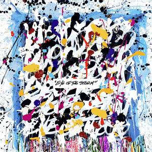 Eye of the Storm [INTERNATIONAL VERSION] ONE OK ROCK 輸入盤CD