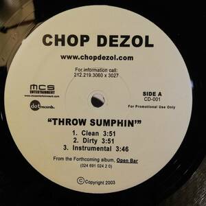 [12]US盤PROMO ONLY　Throw Sumphin / Round Here // Chop Dezol [12]HIPHOPラップRAPヒップホップ 00s　シングル