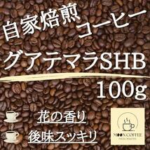 【焙煎珈琲豆】グアテマラSHB 100g【花の香り / 後味スッキリ】_画像1