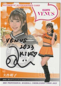 BBM2023チアリーダー舞　90枚限定直筆サインカード　矢作明子(読売巨人/VENUS) 即決