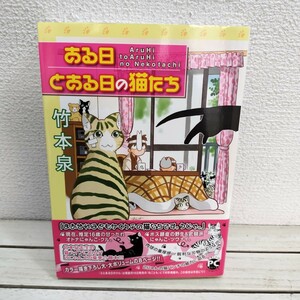  prompt decision! free shipping! [ exist day certain day. cat ..]# bamboo book@ Izumi / cat everyday × essay manga 