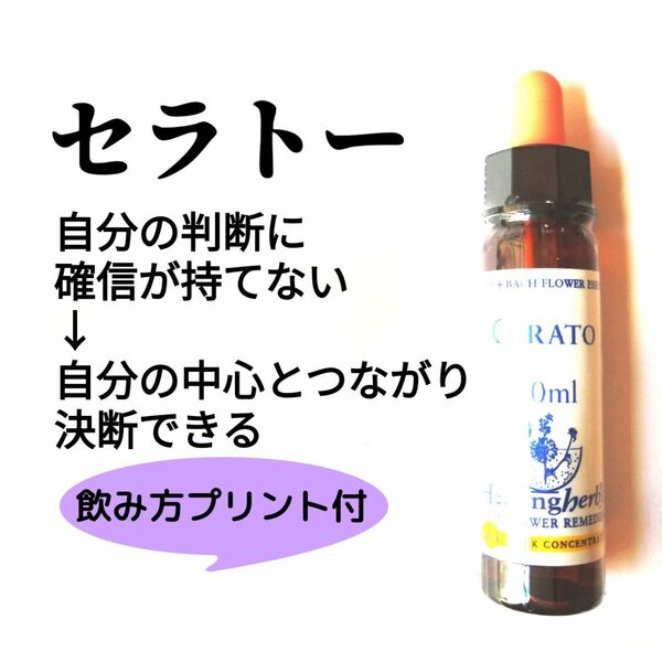 5.セラトー《10ml》バッチフラワーエッセンス ヒーリングハーブス社