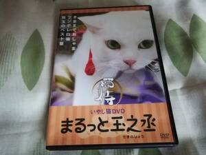 即決◆いやし猫DVD　猫侍　まるっと玉之丞　北村一輝　白猫　あなご