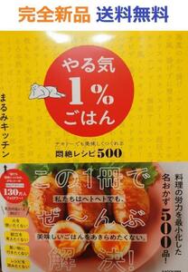 やる気1%ごはん テキトーでも美味しくつくれる悶絶レシピ500 まるみキッチン