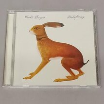 CD Vashti Bunyan Lookaftering Rock Folk Rock ヴァシュティ・バニアン Z4094_画像1