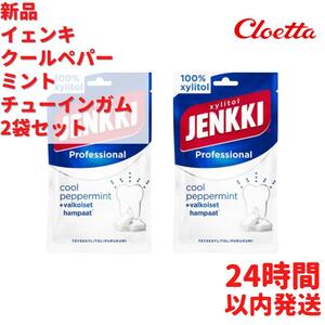 Jenkki cool peppermint chu- in chewing gum 2 sack ×80g set 