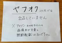 【演劇チラシ】※同梱不可　演劇実験室万有引力「奴婢訓」A4二つ折り　世田谷パブリックシアター　宣伝美術合田佐和子_画像6