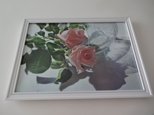 アートフレーム§写真ポスター付A4額(選択可)§ピンクの薔薇・ガラス・白・ホワイト・花