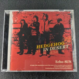 H-57 Echo-SUN HEDGEHOG IN DESERT