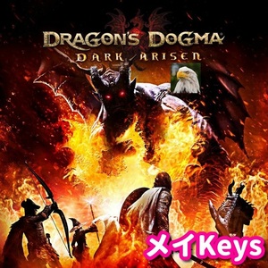 ★STEAM★ Dragon's Dogma: Dark Arisen ドラゴンズドグマ：ダークアリズン PCゲーム メイ