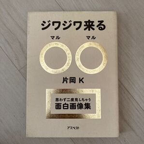 ジワジワ来る○○ 思わず二度見しちゃう面白画像集 片岡K/著