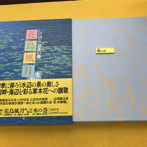 F48-035 いけばな 日本の美 花鳥風月 水の巻 講談社
