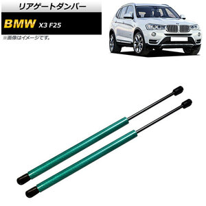 リアゲートダンパー BMW X3 F25 2011年～2017年 グリーン カーボンファイバー製 AP-4T863-GR 入数：1セット(2個)