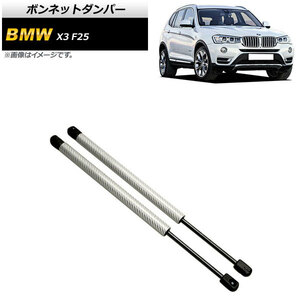 ボンネットダンパー BMW X3 F25 20dX/20iX/28iX/35iX 2011年～2019年 シルバー カーボンファイバー製 AP-4T861-SI 入数：1セット(2個)