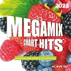 【美品】☆フィットネス CD MEGAMIX CHART HITS 2022 ☆送料230円☆51曲 エアロビクス ダンス アクア スポーツ ☆定価3730円(税込) 人気