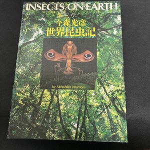  world insect chronicle 