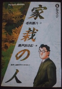 【送料無料】毛利甚八 魚戸おさむ 家栽の人 初版 6巻 ヒマワリ ビッグコミックス 小学館 希少品 レア 入手困難