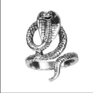 蛇 リング 指輪 シルバー スネーク メンズ 爬虫類 コブラ レディース 14号