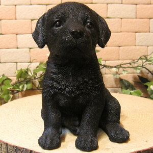  Rav Rado ruretoli bar black black Rav . seat . real . dog. ornament ... objet d'art dog ornament dog gardening front door 