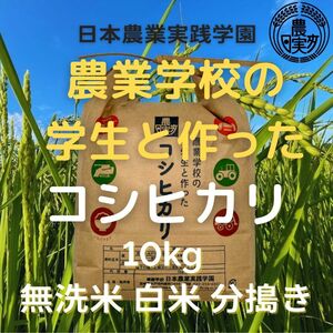 農業学校の学生と作った太陽の恵みいっぱいコシヒカリ　精米したて白米10kg　令和4年産新米