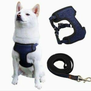 ハーネス リード 通気性 調節可能 犬用胴輪 簡単着脱 しつけ 歩行補助