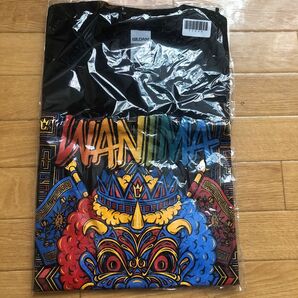 【最終値下げ】WANIMA ワニマ カミナッチャツアー Tシャツ Ｍサイズ