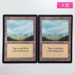 sA257o [人気] MTG 基本土地 LEB Plains 平地 A 計2枚 英語版