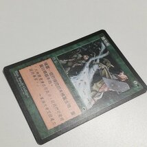 sB580o [人気] MTG 大地の知識 Earthcraft テンペスト TMP 緑 R レア 中国語版_画像3