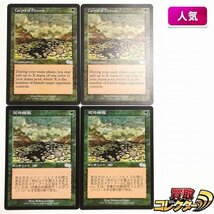 sB587o [人気] MTG 花の絨毯 Carpet of Flowers ウルザズ・サーガ USG 緑 U アンコモン 英語版 日本語版 各2枚 計4枚_画像1