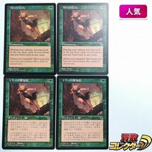 sB320o [人気] MTG ミリーの悪知恵 Mirri's Guile テンペスト TMP 緑 R レア 英語版 日本語版 各2枚 計4枚_画像1