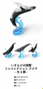 いきもの大図鑑　クジラ　ザトウクジラ＋マッコウクジラ＋シャチ　３種　新品未開封　バンダイナムコ