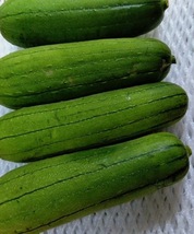 沖縄本島北部やんばる産　旬の健康野菜「なーべらー＝食用へちま」_画像3