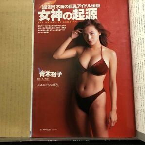 ペントハウス 98年6月号 小沢まどかフィギュア付・葉月里緒菜・西中沙織・小松裕奈・安西ひろこ・吉本多香美・原れいか・山田まりや・細川の画像6