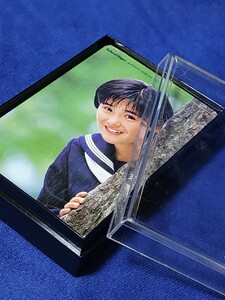 富田靖子　1984年　昭和レトロ　スクールタイガー学生服　ノベルティ　トランプ　未開封品　林檎雨　アイコ十六歳　当時物　おまけカード