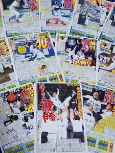 阪神タイガース　2003年優勝記念　デイリー1面柄　QUOカード　クオカード　全12種未使用　最強猛虎　星野阪神　金本　矢野　桧山　今岡