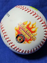 阪神タイガース　桧山進次郎　直筆サインボール　投げ入れ　投げ込み　星野阪神　当時物　ネバサレ　代打の神様_画像1