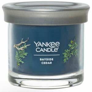 YANKEE CANDLEシグネチャータンブラー「ベイサイドシダー」アロマキャンドル リラックス 癒し 香り