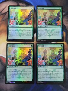 楽園の拡散 FOIL 4枚セット