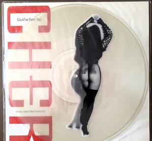 CHER　シェール　Could've Been You　限定 ピクチャーディスク仕様 12” 　：　Love And Understanding / Save Up All Your Tears