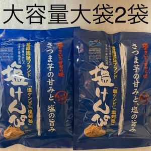 高知県　大容量　大袋　塩けんぴ　2袋　大人　子供　お菓子まとめ売り　数量限定　激安　1000円ゴールドクーポン利用　全国送料無料　即決