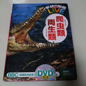 爬虫類・両生類 （学研の図鑑ＬＩＶＥ　１１） 森哲／監修　西川完途／監修　児童書・学習・絵本