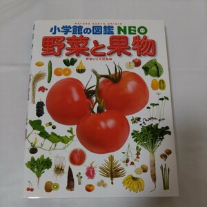 小学館の図鑑NEO　野菜と果物　児童書・絵本・学習
