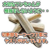 ■ 中型犬用 ■ 天然 北海道産 蝦夷鹿の角 ■ 4半割り 1本 ■ 犬のおもちゃ ■ 無添加 ■ 鹿の角 犬 エゾシカ ツノ 37111_画像8